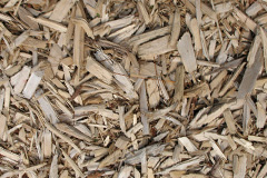 biomass boilers Heydour